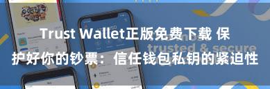 Trust Wallet正版免费下载 保护好你的钞票：信任钱包私钥的紧迫性